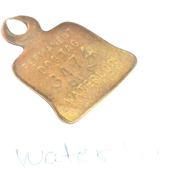 Vintage Waterloo DOG TAG Brass ID Tag Pet Tag Vintage Necklace Tag - Picture 3 of 4